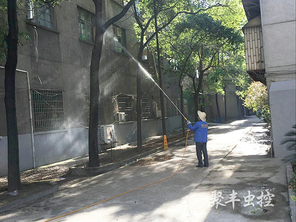 中醫醫院滅白蟻